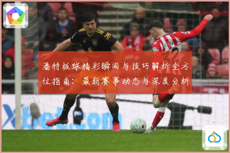 潘特板球精彩瞬间与技巧解析全方位指南：最新赛事动态与深度分析