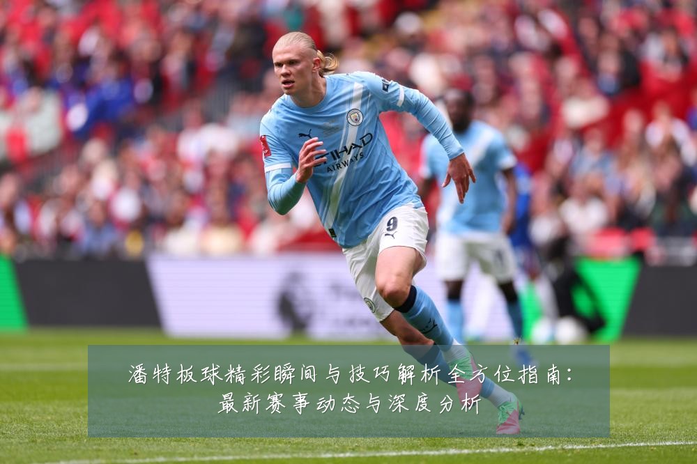 潘特板球精彩瞬间与技巧解析全方位指南:最新赛事动态与深度分析